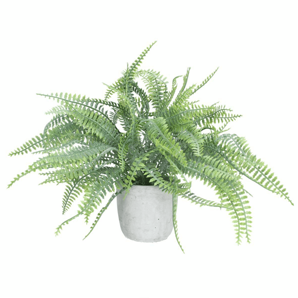 Gisela Graham Faux Spider Fern in Pot